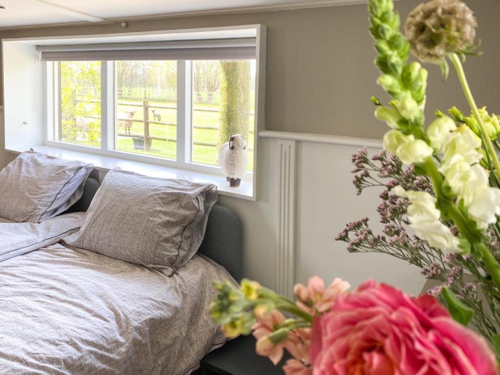 4Seasonshouse Villa Losser Екстериор снимка